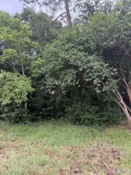 Canal Front Single-Family Lot