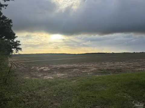 Unrestricted Recreational Farmland Tract