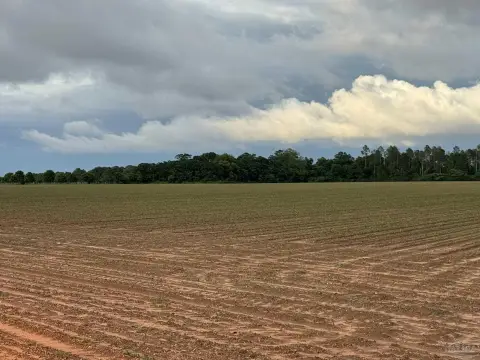 Unrestricted Agricultural Land