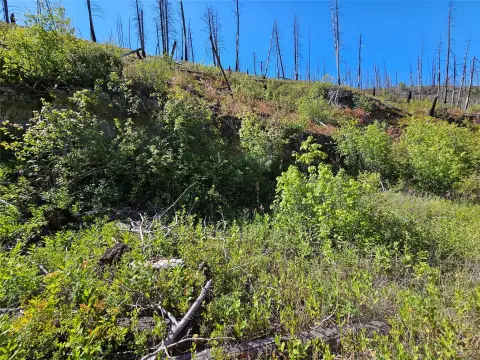 Remote Montana Land with Potential