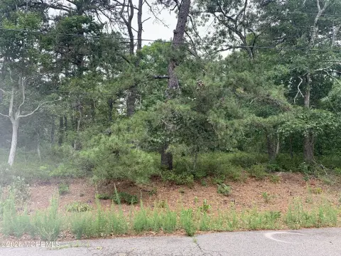 Residential Building Lot with Utilities