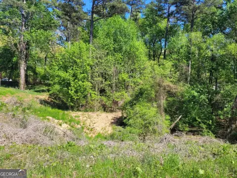 Residential Land in Atlanta, GA