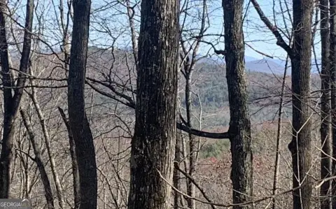 Land with Mountain View