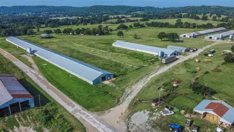 Multi-Barn Agricultural Farm