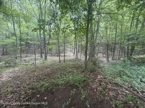 Saugerties Wooded Residential Land Parcel
