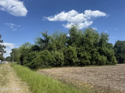 Residential Lot in Burgaw, NC