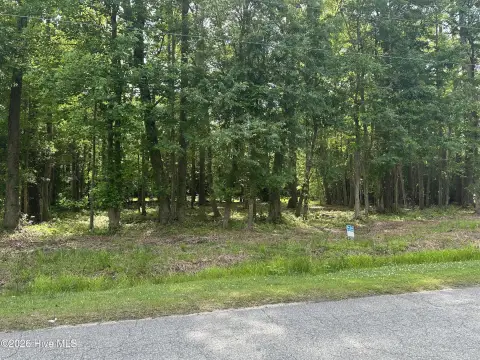 Wooded Lot in Whiteville, NC