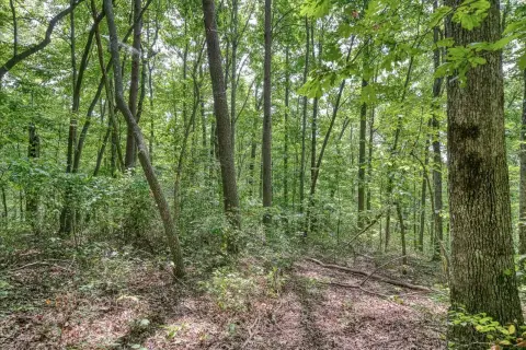 Two Acre Vacant Land