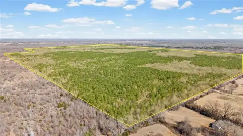 Expansive East Texas Hardwood Acreage
