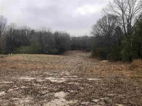 Residential Land in Unicorp/Memphis, TN