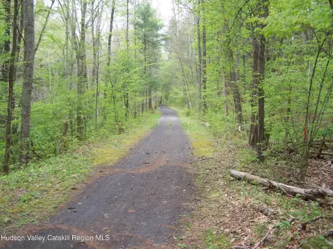 Gently Rolling Forest Land