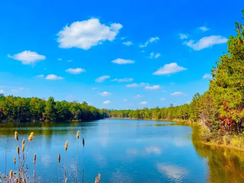 Waterfront Hunting and Recreation Land