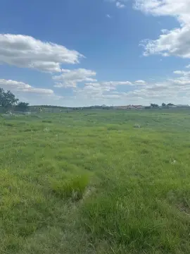 Acreage Parcel with No Restrictions