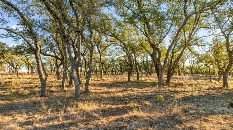 Blanco County Raw Land Opportunity