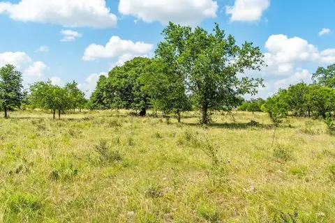 Picturesque Land near Pedernales River