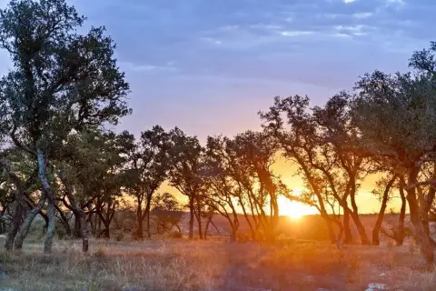 Texas Hill Country Vacant Land