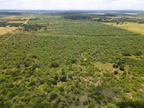 Country Barndo and Cattle Land