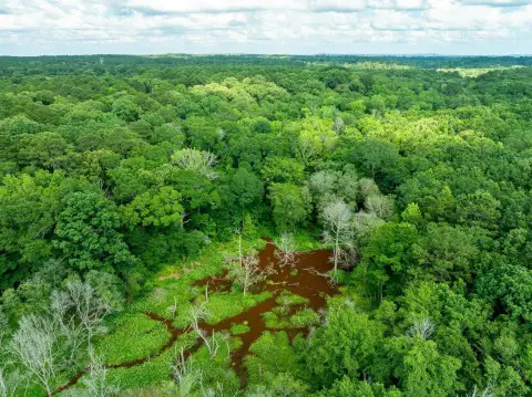Recreational Hunting Land with Homesite