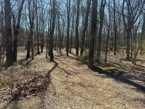 2 Acre Agricultural Land Parcel