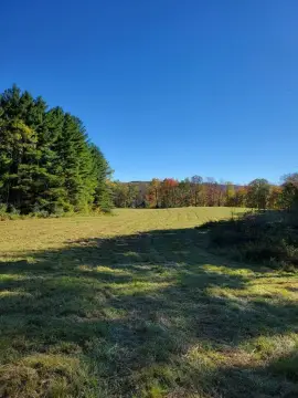 78 Acres Hunting Land, CHARMCO