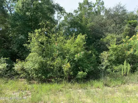 Wooded Parcel in Interlachen, FL