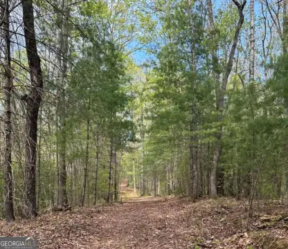 Land in North Georgia Mountains