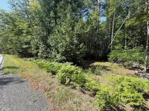 Recreation Land With Stream Frontage