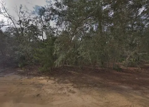 Residential Lot in Interlachen