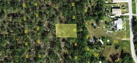 Residential Lot in Punta Gorda