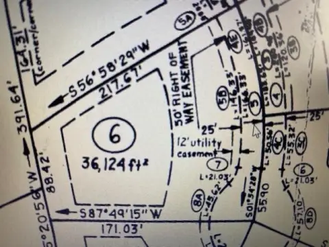 Land Near Chincoteague Island