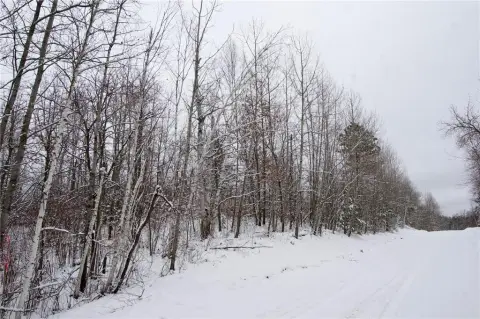 Wooded Lot in Northern Minnesota