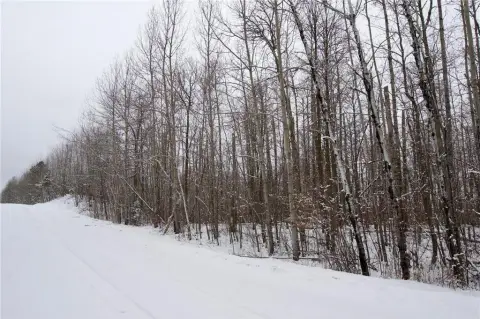 4.5-Acre Wooded Lot in Crooked Lake