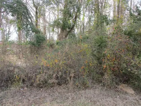 Wooded Land Near Lake Fork