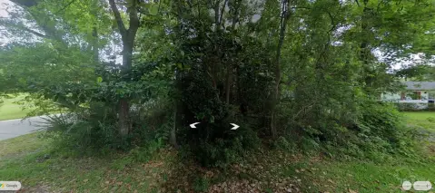 Wooded Waterfront Homesite Lot