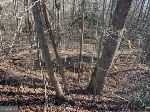 Buildable Waterfront Lot