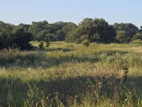 Land for Homesteading or Development