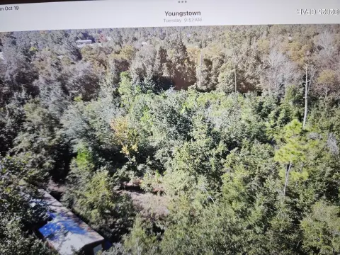 Wooded Lot with Mobile Home
