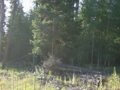 Land Near Middle Thompson Lake