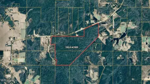 Preserved Wilderness Land in Wiggins