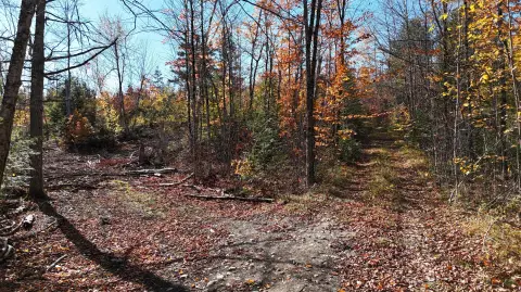 Recreational Land with Water Features