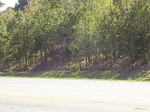 Commercial Land