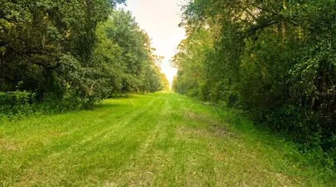 Okeechobee Residential/Agricultural Land For Sale