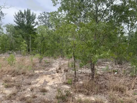 Interlachen, FL Land For Sale