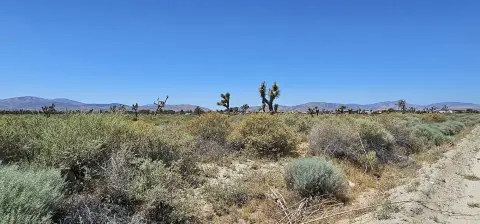 Palmdale Vacant Land Investment