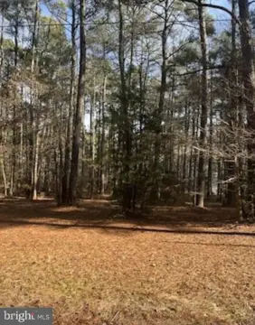 Wooded Lot in Riverfront Community