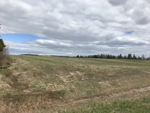 20 Acres in Pickford, MI