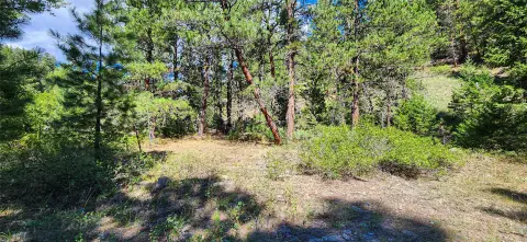 Montana Land with Creek Access