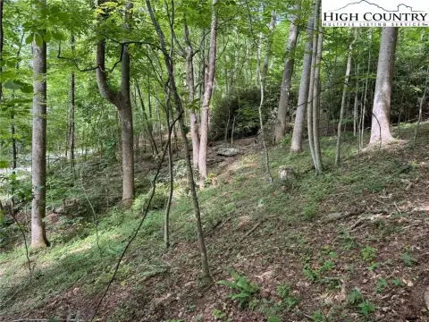 Land with Mountain View Potential