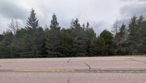Wooded Land with Natural Clearing