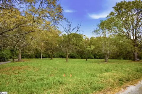 Level Mostly Cleared Residential Lot